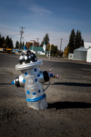 Tippy Oakesdale fire hydrant