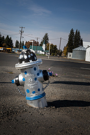 Tippy Oakesdale fire hydrant