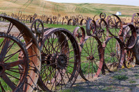 Meatl wheel fence