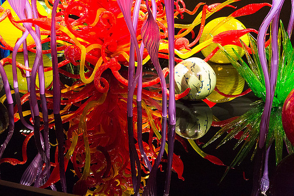 Chihuly Museum of Glass 14
