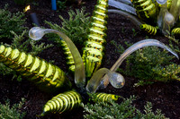 Chihuly Museum of Glass 39