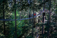 Capilano tree top walk