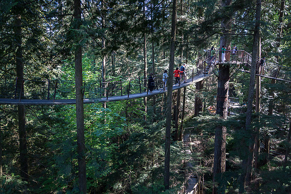 Capilano tree top walk