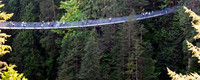 Capilano sususpension bridge