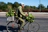 Taking the banans home