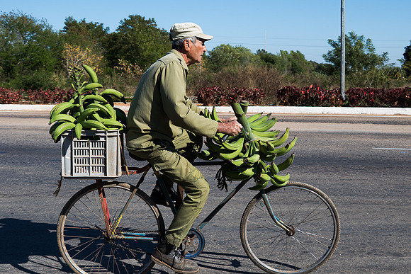 Taking the banans home