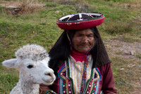 Old woman and Alpaca