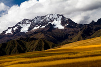 Wheat field and storm over the Ande's