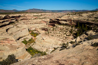 Horse Collar Ruin Trailhead, Natural Bridges US-Monument