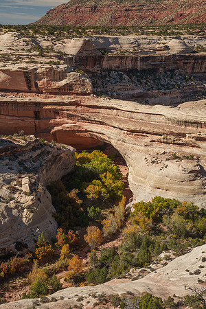 Kachina Bridge Veiwpoint, Natural Bridges US-Monument
