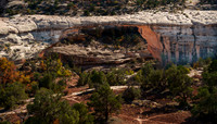 Owachomo Bridge Overlook, Natural Bridges US-Monument