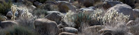 Blair Valley, Pictograph Trail, Anza-Borrego SP