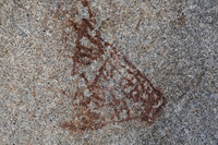 Pictograph #2, Blair Valley, Pictograph Trail, Anza-Borrego SP