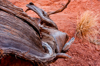 Stump Pattern