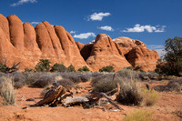 Weathered Sandstone near Skyline Arch