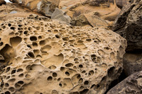 Tafoni Sandstone #4