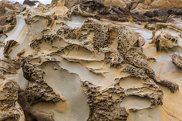 Tafoni Sandstone #8