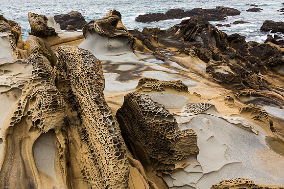 Tafoni Sandstone #12