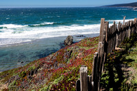 Fence and Sea #2