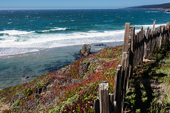 Fence and Sea #2