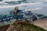 Black point Beach Sea Stack