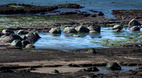 Low tide at Bowling Ball Beach