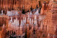Bryce Canyon from Sunrise Pt 17