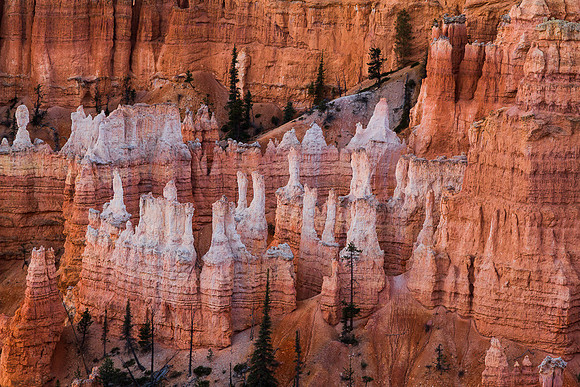 Bryce Canyon from Sunrise Pt 17