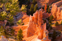 Hoodoo from Sunset Point Bryce Canyon National Park