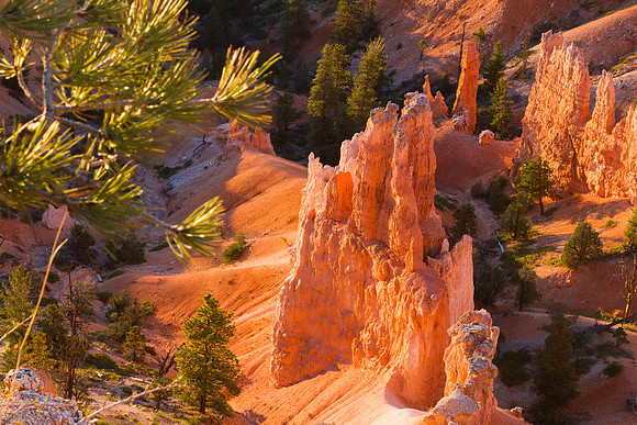 Hoodoo from Sunset Point Bryce Canyon National Park