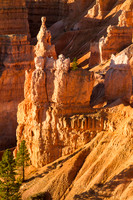 Bryce Canyon Hoodoo - 4