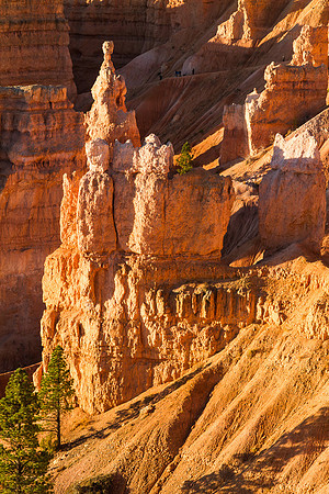 Bryce Canyon Hoodoo - 4