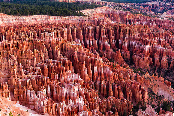 Bryce Canyon Hoodoo's from Inspiration Point