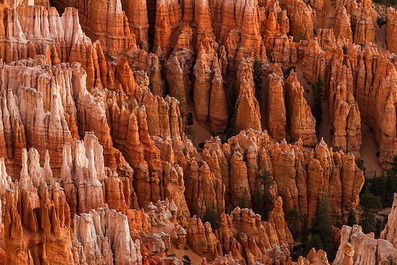 Bryce Canyon Morning from Inspirtation Point 2