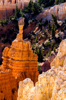 Bryce Canyon from Bryce Point
