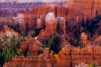 Bryce Amphitheater 2