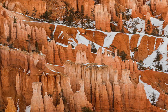 Bryce canyon in late afternoon from Sunset Point #3