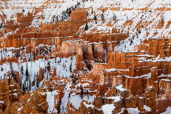 Bryce canyon in late afternoon from Sunset Point #4