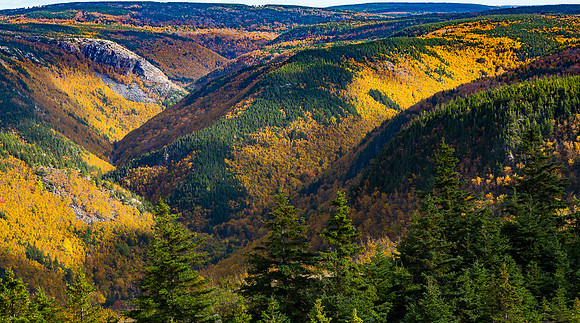Fall color carpet over MacKenzie Mountain area hills (Cape Breton Island, NS Canada)