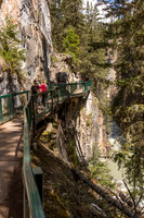 Johnston Canyon Trail #1