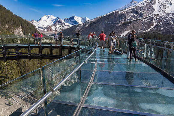 Glacier Skywalk #3