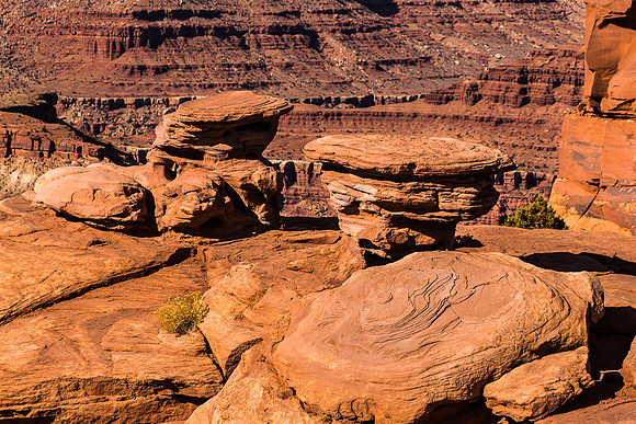 Wind sculpted formation at Dead Horse Point