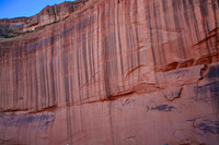 Mother Earth Hair.  Chinle Wash