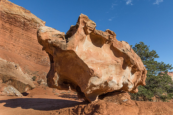 Flying Turtle?  Capitol Reef NP