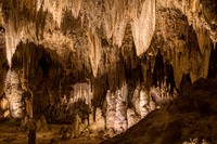 Kings Palace #1, Carlsbad Caverns