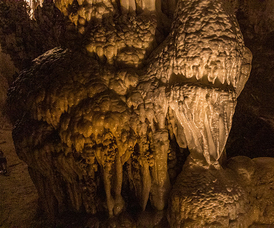 Kings Palace #9, Carlsbad Caverns