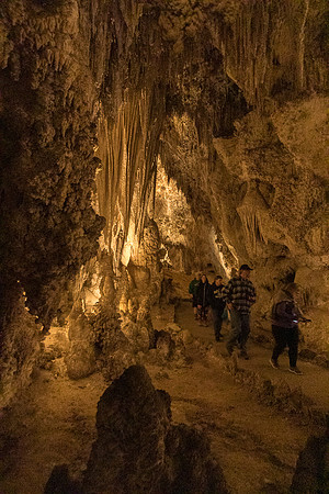 Kings Palace #12, Carlsbad Caverns