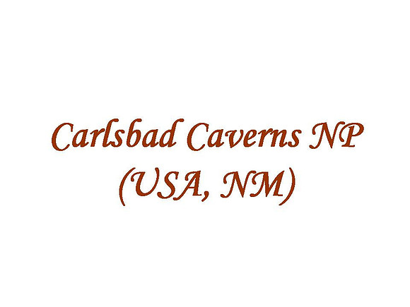 Carlsbad Caverns NP (USA, NM)