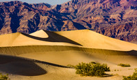 Dune and Shadow