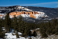 Disant Hoodoo's #3